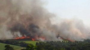 Farms burnt as violent protests erupt in KZN