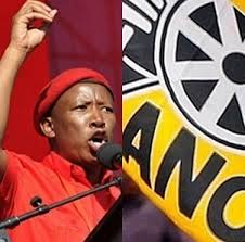 Malema:” what happens to the land once it is expropriated is nobody else’s business”