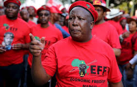 The EFF and DA to host opposing rallies in PE ahead of motion of no confidence in Trollip