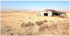The ANC Wilfully Forcing Black Farms To Ruin?