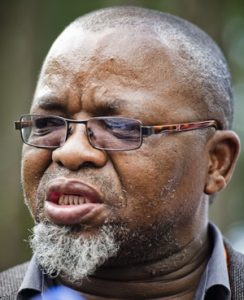 Land expropriation:  Limit land ownership to 12 000 hectares per white farm owner and give the rest to the state without compensation says, says Mantashe