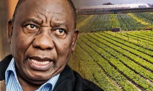 South Africa Farm Seizures BEGIN: Chaos As First Expropriation Of White-Owned Farms Starts