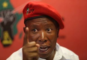 Watch: Malema tells parliament to stuff their job, he will occupy land, he can do what he wants and nobody can stop him