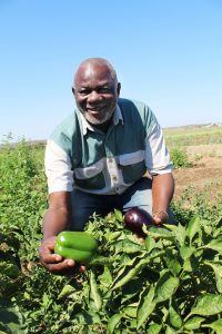 One Of The Few Black Men Turned A Farm Into A Success – Now Mpumalanga Department Wants It Back