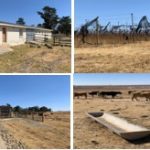 Another multi-million agricultural flagship project by Ace Magashule failed – alarming situation once again proves land expropriation without compensation holds nothing good for SA