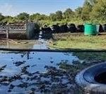 #Kakfontein Winnie’s Hometown of Brandfort Now a Classic Commie Sh*thole! Resident’s Property Flooded in Sewage but Municipal Managers Refuse To Help – Too Busy Plundering?