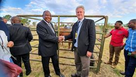 Everything Billionaire Ramaphosa Owns Was Given To Him Because He is Black, So What Was The Expensive Stud Bull “Gift” AgriSA’s Dan Kriek Gave To Ramaphosa For?