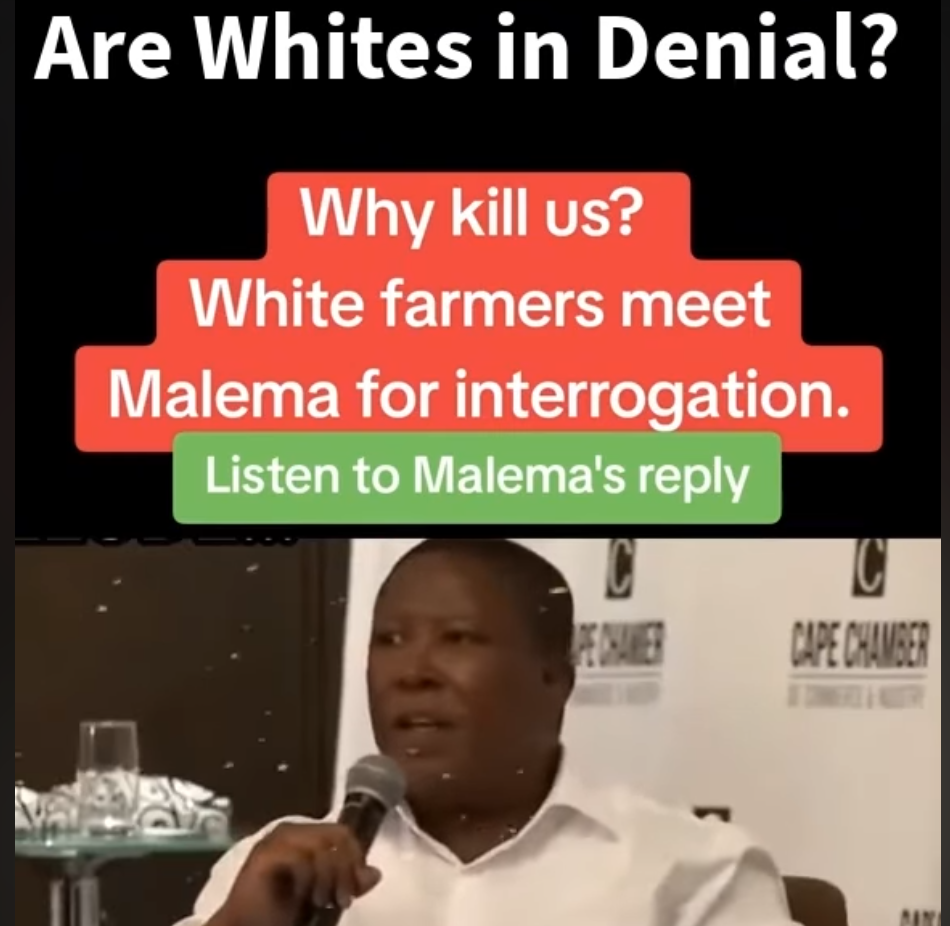 Are Whites In Denial? Or Are They Deluded To Even Try Reason With Agitated & Brainwashed Blacks?